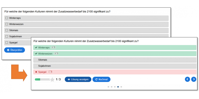 Zusammengesetzter Screenshot des Selbsttests des Projektes. Der erste Screenshot zeigt die Testoberfläche vor der Auflösung, der zweite diese nach der Überprüfung mit Anzeige der richtigen/falschen Angaben.