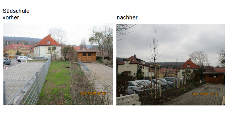 Die Baumpflanzungen am Standort Südschule wird durch den Vergleich von "Vorher-Nachher-Bildern" verdeutlicht