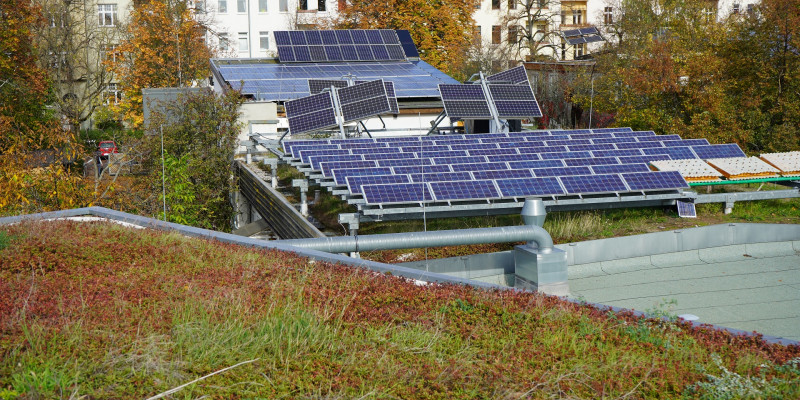 Foto von Dachbegrünung und Photovoltaikanlagen auf einem Falchdach.