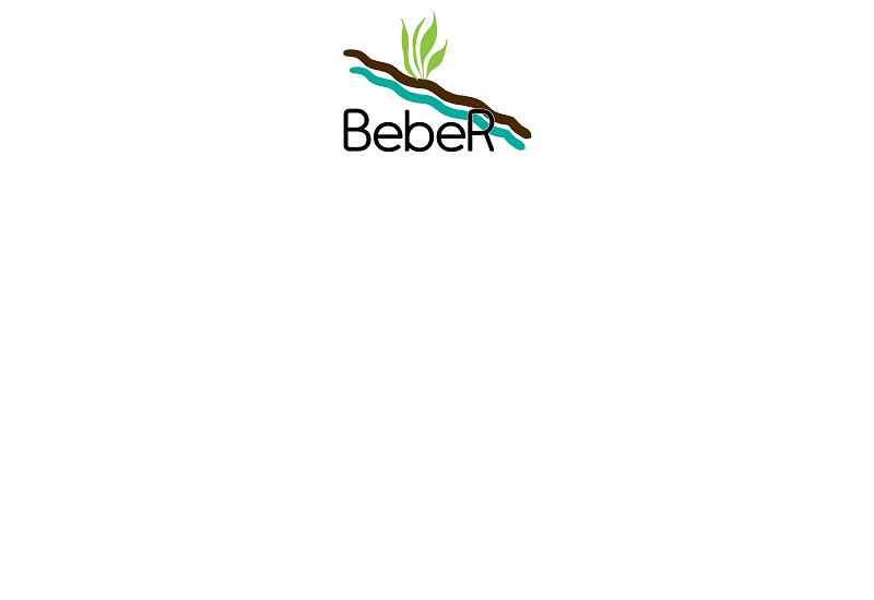 Logo des Verbundprojektes Bodenerosionsminderung in bergigen Regionen am Beispiel des Landkreises Mansfeld-Südharz (BebeR)