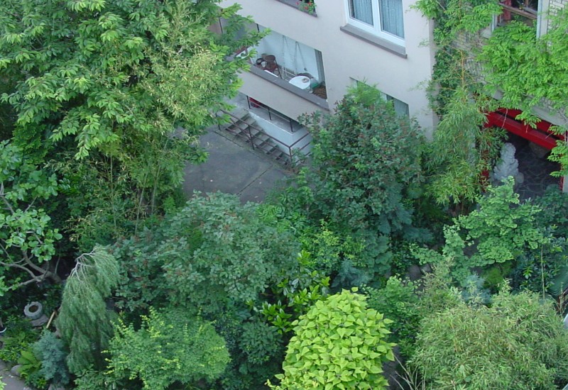 Von oben fällt der Blick auf begrünte Bäume in einem Innenhof.