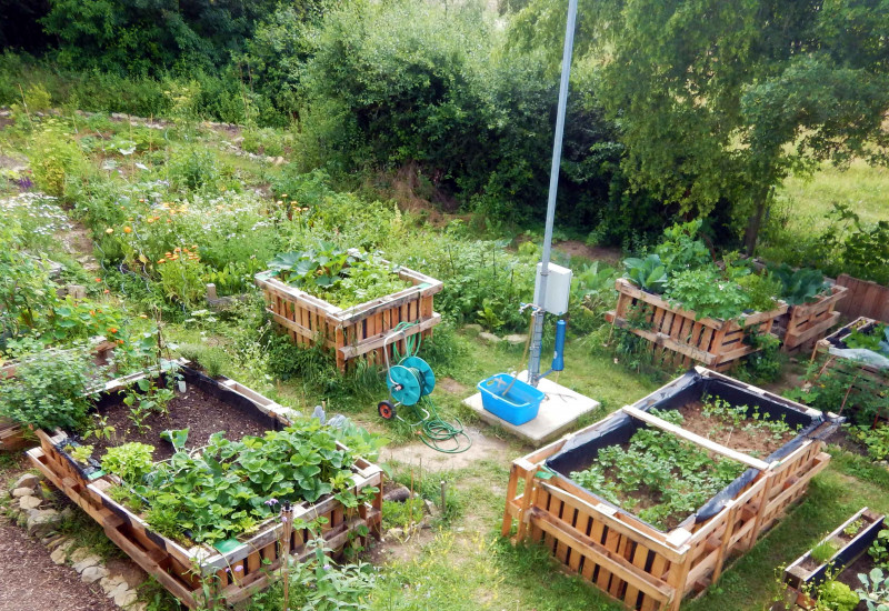Beete und Wege des Campus Gartens