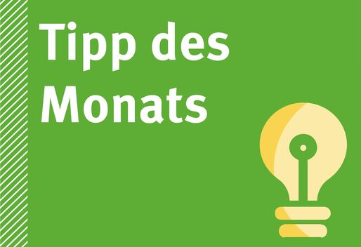 Gelbe Glühbirne auf hellgrünem Hintergrund, "Tipp des Monats" in weißer Schrift