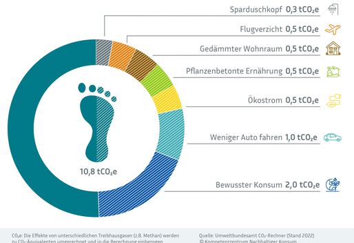 Tortendiagramm mit Maßnahmen, die im Alltag den eigenen CO₂-Fußabdruck halbieren