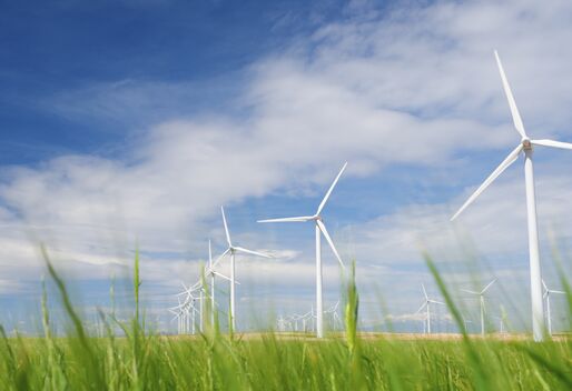 weißer Windpark vor blauem Himmel mit Schönwetterwolken, vor die Kulisse ragen grüne Blätter und Halme einer Wiese oder eines Getreidefeldes