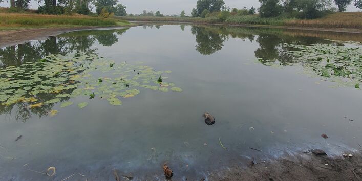 Bild eines Sees der bereits beginnt auszutrocknen