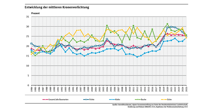 Das Diagramm zeigt die mittlere Kronenverlichtung für die vier Hauptbaumarten Fichte, Kiefer, Buche und Eiche) in den deutschen Wäldern sowie für die Kategorie „Gesamt/alle Baumarten“, die neben diesen auch andere Laub- und Nadelbaumarten erfasst.