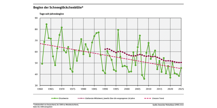 Das Liniendiagramm zeigt den Zeitpunkt des Blühbeginns des Schneeglöckchens (Tage ab Jahresbeginn, Gebietsmittel für Deutschland) seit 1961. Der lineare Trend zeigt, dass sich der Zeitpunkt tendenziell in Richtung Jahresbeginn verschiebt. 