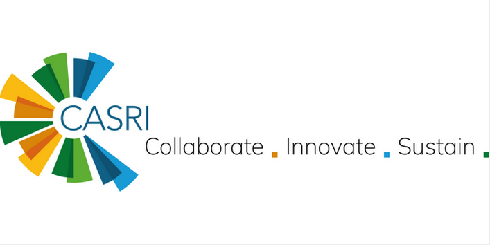 The graphic displays the CASRI logo. Multicolored elements center around the acronym as an expression of the project's synthesis work.