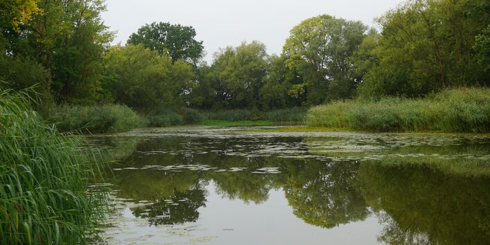 Foto eines kleinen Sees