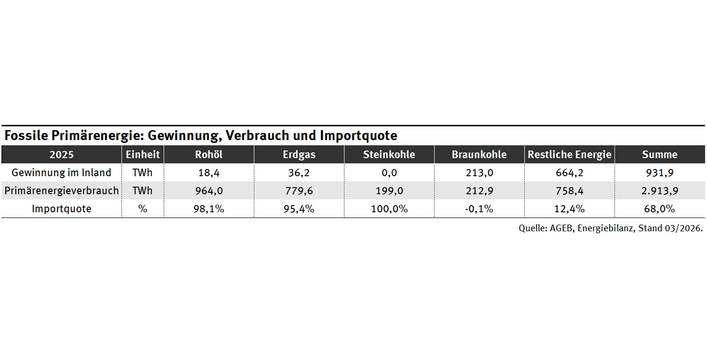 Die Tabelle zeigt, dass bei Öl, Gas und Steinkohle die Importquote bei über 95 Prozent liegt.