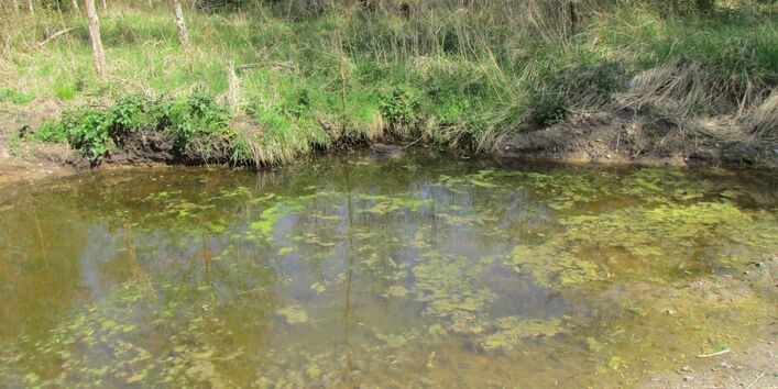 ein Foto eines kleinen Sees