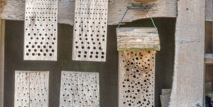 Nahaufnahme eines Insektenhotels