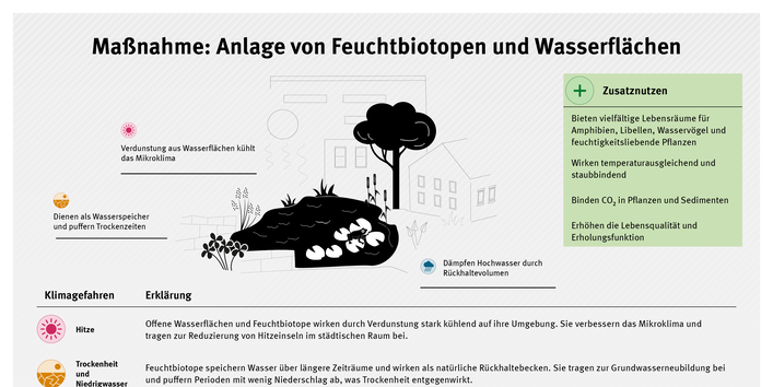 Infografik zur Maßnahme Anlage von Feuchtbiotopen und Wasserflächen: Naturnahe Wasserflächen und Feuchtbiotope kühlen durch Verdunstung das Mikroklima und wirken temperaturausgleichend.