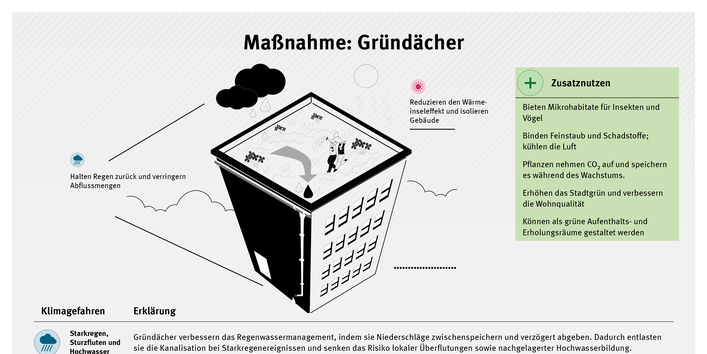 Infografik zur Maßnahme Gründächer: Begrünte Dächer speichern Regenwasser, kühlen durch Verdunstung die Umgebung, reduzieren Hitze in Städten und verbessern zugleich Luftqualität, Biodiversität und Wohnumfeld.