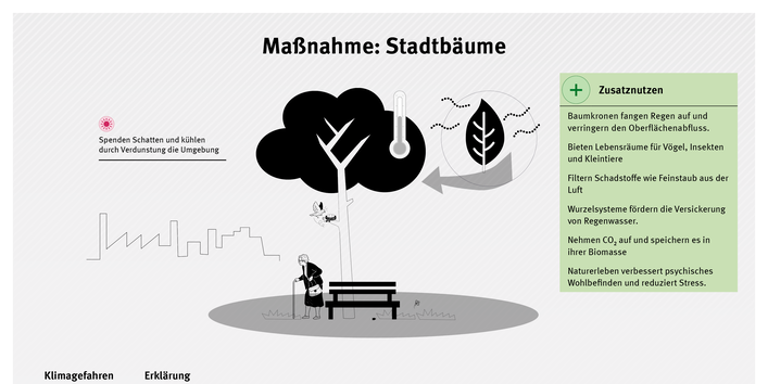 Infografik zur Maßnahme Stadtbäume: Stadtbäume spenden Schatten, kühlen durch Verdunstung die Umgebung, verbessern Luftqualität, fördern die Wasserversickerung und tragen zur Lebensqualität sowie Biodiversität in Städten bei.