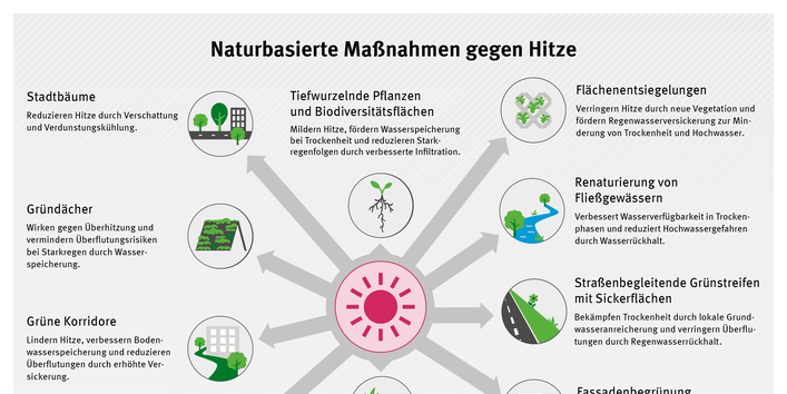 Infografik zu naturbasierten Maßnahmen gegen Hitze: Übersicht zentraler Lösungen wie Stadtbäume, Gründächer, Fassadenbegrünung, Entsiegelung und Feuchtbiotope, die durch Kühlung, Wasserspeicherung und verbesserte Luftqualität zur Anpassung an den Klimawandel in Städten beitragen.