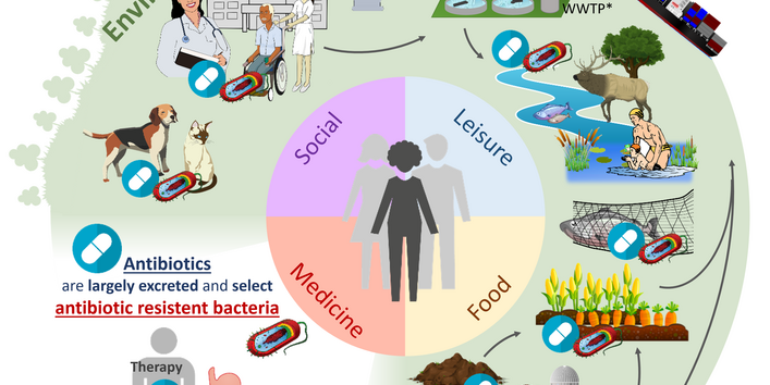Ein Schaubild, welches darstellt, wie sich Antibiotikarückstände bei unsachgemässer Verwendung/Entsorgung in die Umwelt gelangen und dort zu Antibiotikaresistenzen führen.  