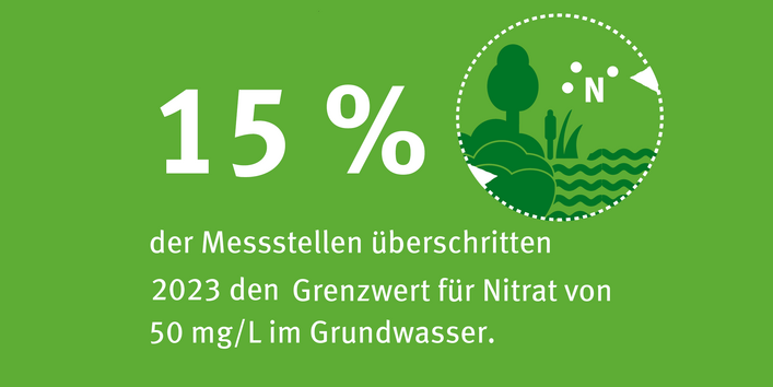 15% der Messstellen überschritten 2023 den Grenzwert für Nitrat von 50mg/L im Grundwasser.