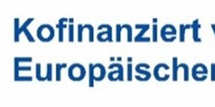 Die Grafik zeigt, dass das Förderprogramm LIFE kofinanziert wird von der Europäischen Union