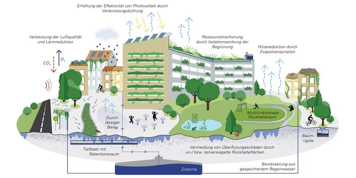 Infografik zu multifunktionalen urbanen naturbasierten Lösungen und ihren Wirkungen. Die Wirkungen umfassen z.B. eine Verbesserung der Luftqualität sowie Lärmreduktion, aber auch Hitzereduktion durch Evapotranspiration. 