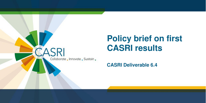 The cover page of the article is shown, a dark blue A4 page with a white field containing the title. On the right edge is the CASRI logo.