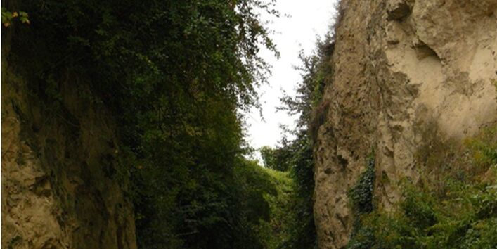 Foto der „Eichgasse“, einem Lösshohlweg
