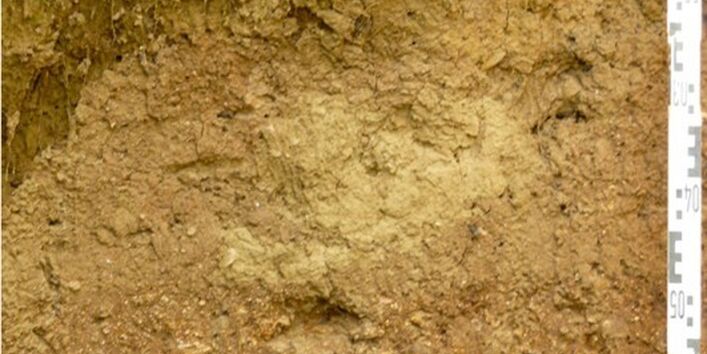 Foto des Lehrpfadprofils: Ein aufgeschütetter Boden