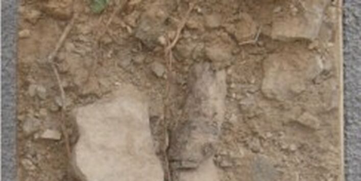 Foto eines präparierten Bodenprofisl aus dem Ruhr Museum Essen