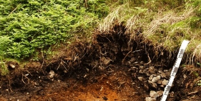 Foto eines Haldenbodens