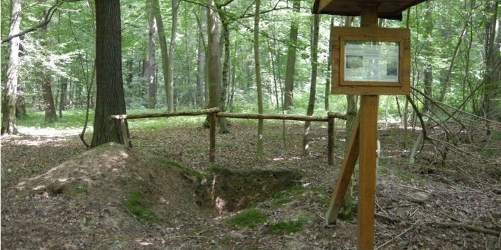 Foto der Profilgrube mit Infotafel