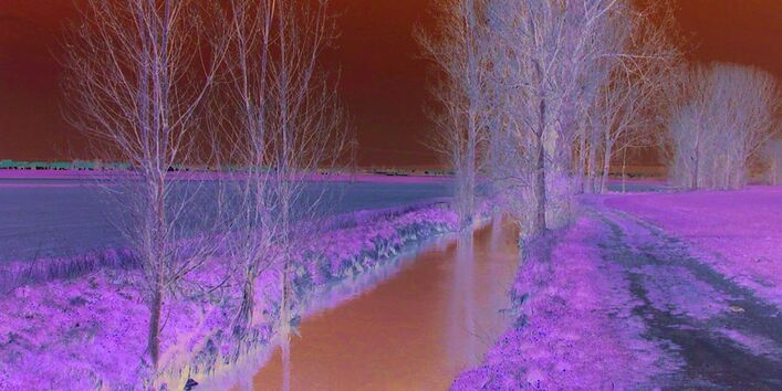 Foto: Die Wern als monotones Gerinne mit vereinzelten Ufergehölzen und Ackerflächen, die bis nah an die Gewässerkante reichen.