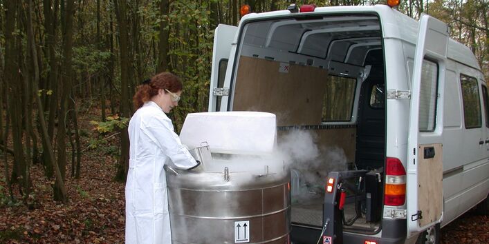 Tree sampling in the forest