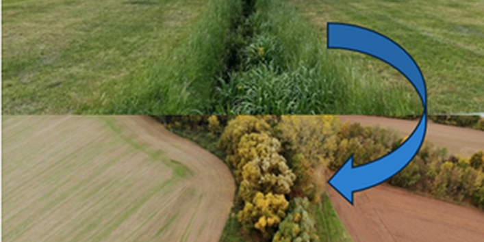 Foto eines Baches mit einer Einzeichnung von zehn Metern beidseitig