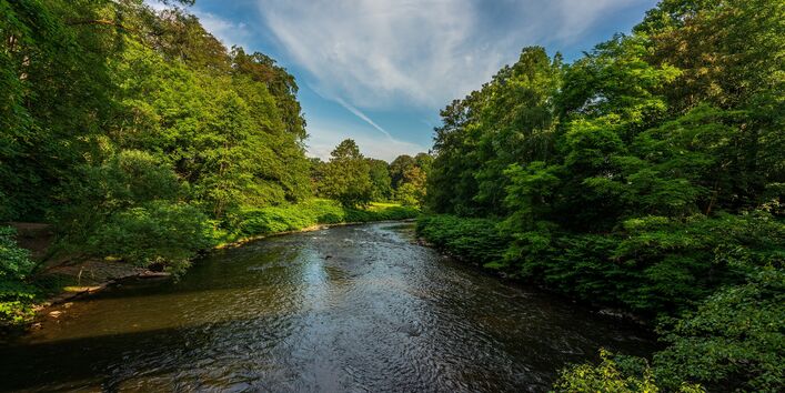 Foto des Flusses Wupper