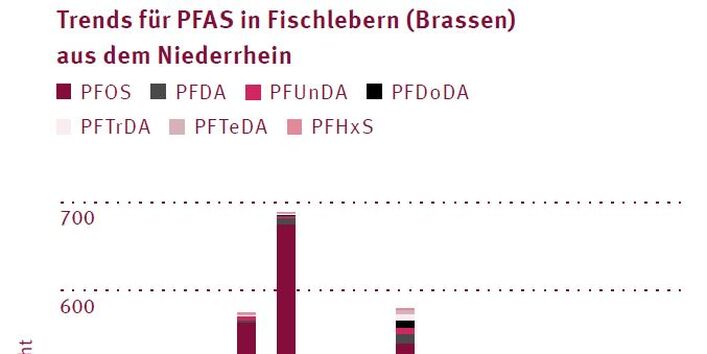 Balkengrafik mit PFAS-Gehalten.