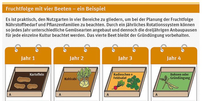Fruchtfolge mit vier exemplarischen Beeten