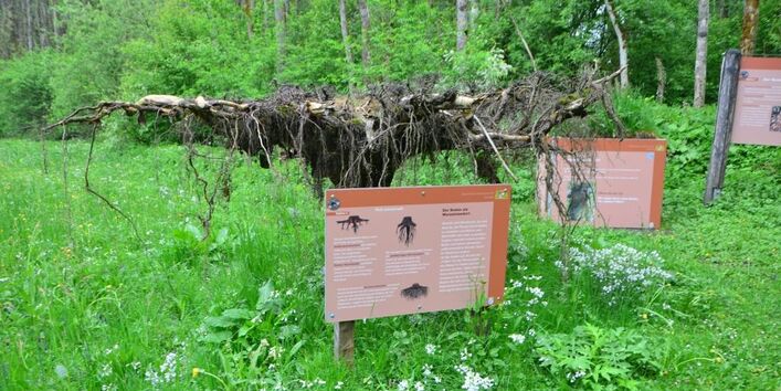 umgedrehter Wurzelteller mit entsprechenden Infotafeln 