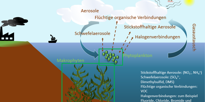 Vereinfachte Darstellung des Gasaustauschs von Aerosolen über der Meeresoberfläche.