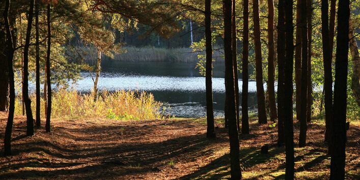Gewässer Faules Luch
