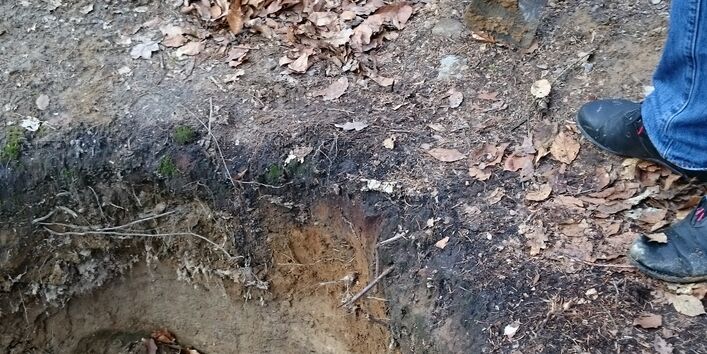 Begehbares Bodenprofil im Wohldorfer Wald
