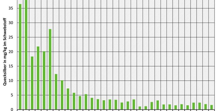 Balkendiakgramm über die Schwebstoffkonzentrationen an der Elbe