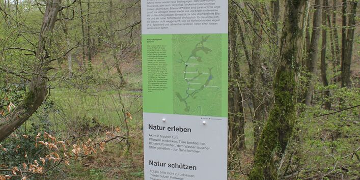 Informationstafeln im NSG Gelpe