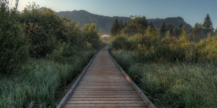 Panoramablick im Sommer