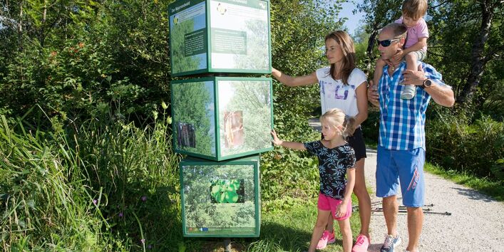 Station Moorandwald im Moor-Erlebnis-Pfad Inzeller Filzen