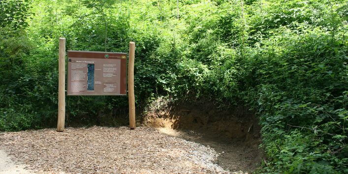 Station mit Bodenprofil und Erläuterungstafel