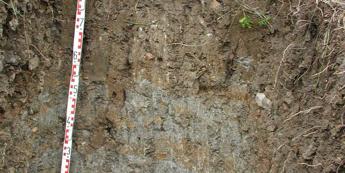 Das Bodenprofil am Standort Hallburg, Unterer- und Gipskeuper (vorwiegend Ton- und Schluffstein)
