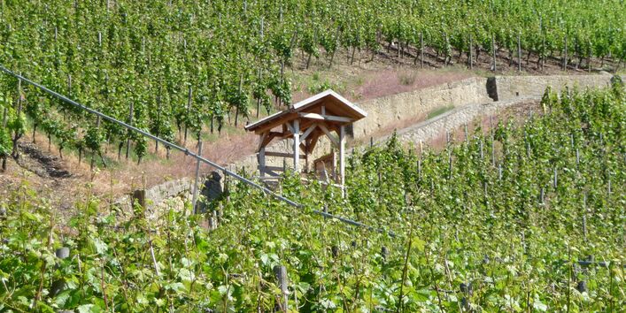 Die überdachte Bodenstation an der Station Vogelsburg