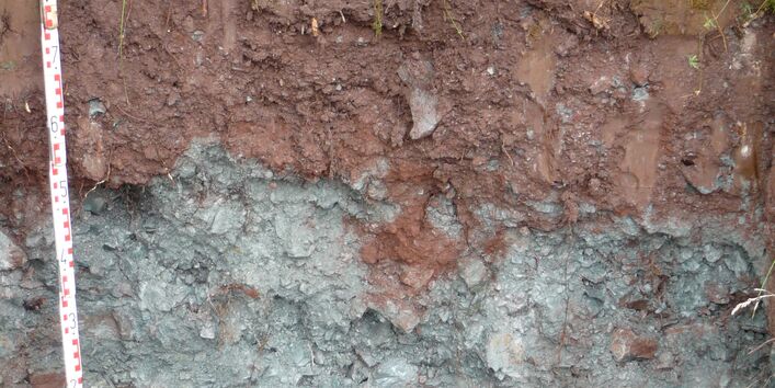 Das Bodenprofil am Standort Zeil am Main, Typ Sandsteinkeuper (vorwiegend Sandstein)