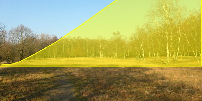 Die Düne muss deutlich höher gewesen sein als die Bäume. Zurück blieb eine schmale ebene Fläche aus Sand.